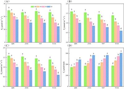 Evaluation of growth, physiological response, and drought resistance of different flue-cured tobacco varieties under drought stress